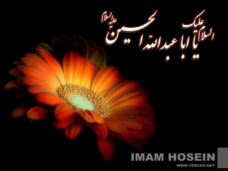 اضغط على الصورة لعرض أكبر.&nbsp;

الإسم:	Sada Al Hussien (127).jpg &nbsp;
مشاهدات:	1&nbsp;
الحجم:	38.0 كيلوبايت&nbsp;
الهوية:	161245