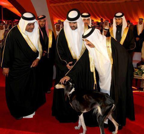 اضغط على الصورة لعرض أكبر. 

الإسم:	184009_134940343317978_876849299_n.jpg  
مشاهدات:	1 
الحجم:	33.5 كيلوبايت 
الهوية:	161321