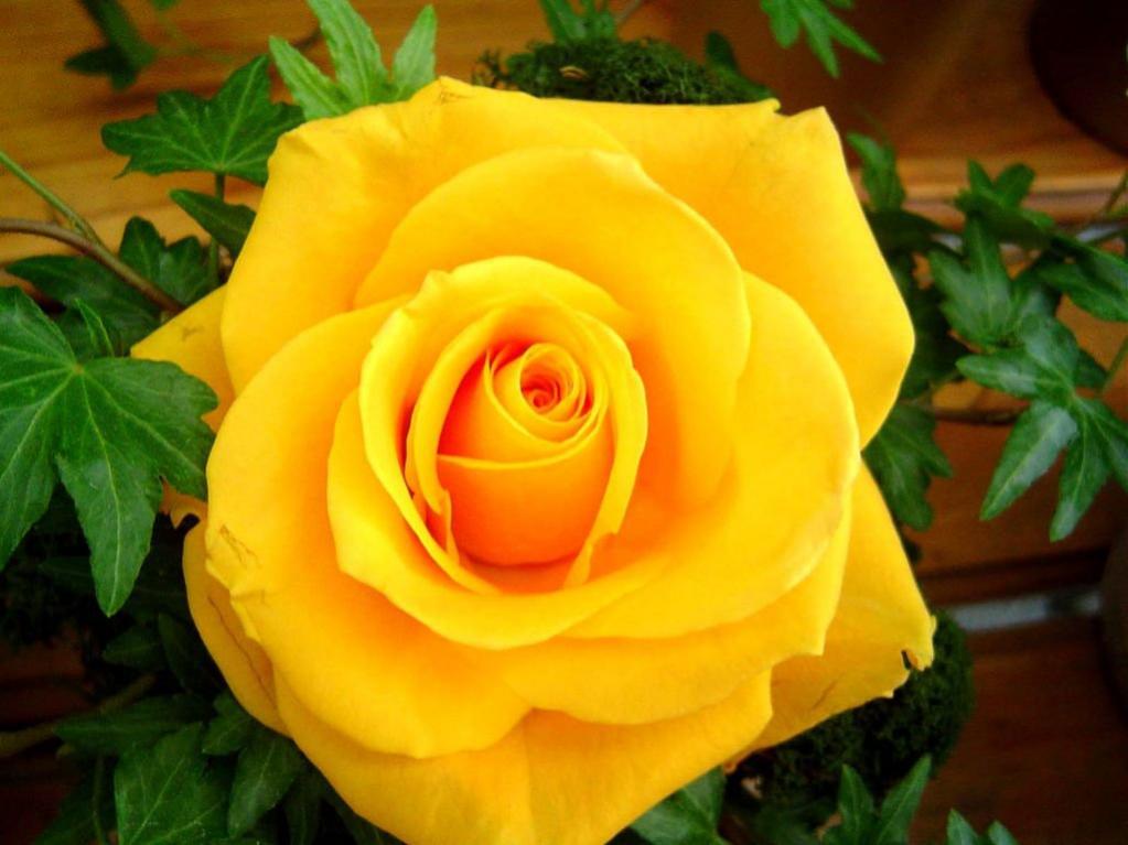 اضغط على الصورة لعرض أكبر.&nbsp;

الإسم:	266711_119564438133798_1935654_o.jpg &nbsp;
مشاهدات:	3&nbsp;
الحجم:	72.5 كيلوبايت&nbsp;
الهوية:	158148