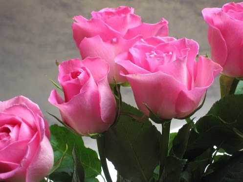 اضغط على الصورة لعرض أكبر. 

الإسم:	28988.jpg  
مشاهدات:	2 
الحجم:	41.6 كيلوبايت 
الهوية:	158312
