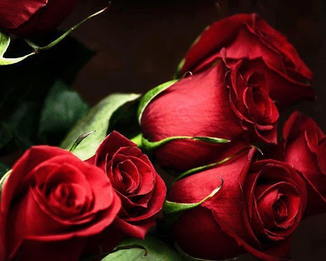 اضغط على الصورة لعرض أكبر. 

الإسم:	554477_322447911158030_1076706330_n.jpg  
مشاهدات:	1 
الحجم:	44.9 كيلوبايت 
الهوية:	158313