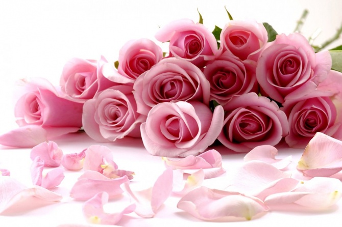 اضغط على الصورة لعرض أكبر.&nbsp;

الإسم:	89ac280cc25173a167f93d4f0e7c1e21[1].jpg &nbsp;
مشاهدات:	14&nbsp;
الحجم:	90.4 كيلوبايت&nbsp;
الهوية:	158693