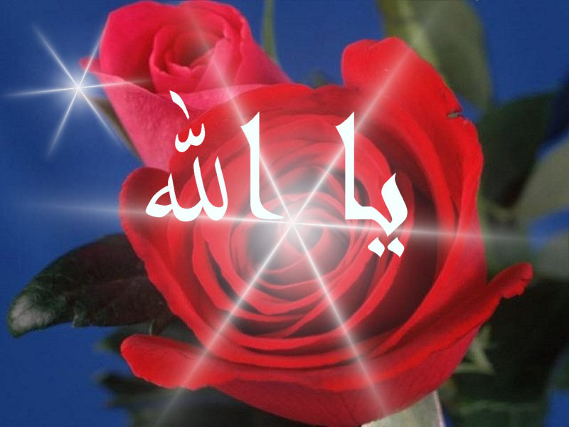 اضغط على الصورة لعرض أكبر. 

الإسم:	ياالله.jpg  
مشاهدات:	1 
الحجم:	69.2 كيلوبايت 
الهوية:	159154