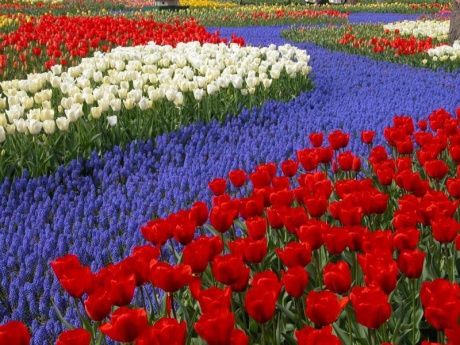 اضغط على الصورة لعرض أكبر.&nbsp;

الإسم:	7.jpg &nbsp;
مشاهدات:	1&nbsp;
الحجم:	101.7 كيلوبايت&nbsp;
الهوية:	159408