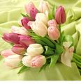 اضغط على الصورة لعرض أكبر. 

الإسم:	image.jpg  
مشاهدات:	681 
الحجم:	23.5 كيلوبايت 
الهوية:	160427