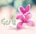 اضغط على الصورة لعرض أكبر.&nbsp;

الإسم:	يارب2.jpg &nbsp;
مشاهدات:	127&nbsp;
الحجم:	4.8 كيلوبايت&nbsp;
الهوية:	163732